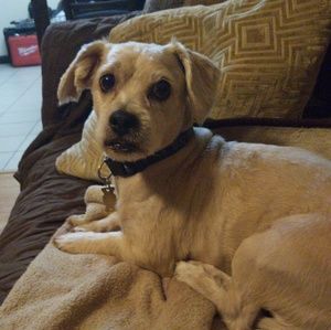 Meet your Posher, Marilyn